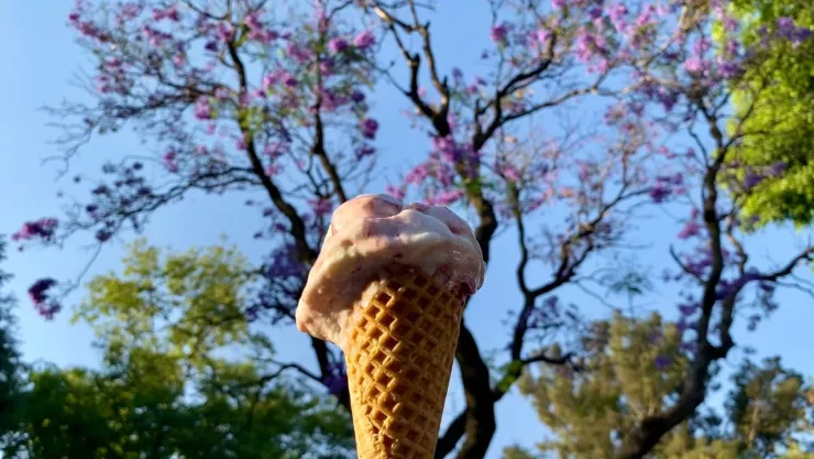 Helado de jacaranda en CDMX
