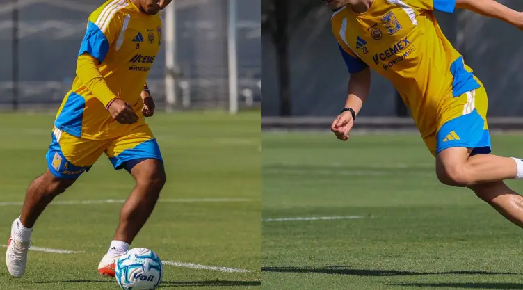 Diego Ramírez y Henrique Simeone Tigres