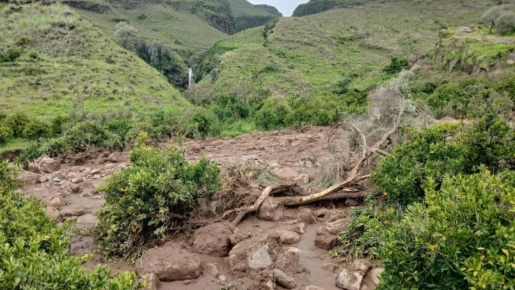 Sudán vive una tragedia: un deslizamiento arrasó una aldea en Darfur Occidental y dejó más de mil muertos. Piden ayuda internacional urgente.