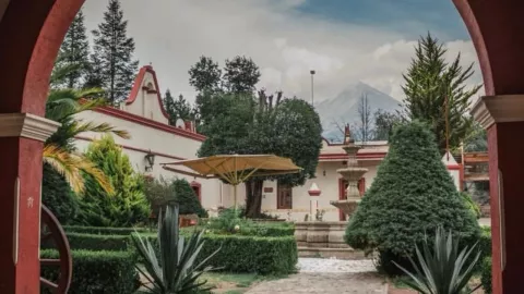 Volcanic Park es un parque donde podrás realizar deportes extremos