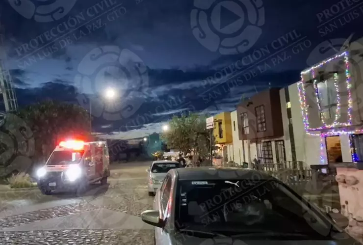 atropellado San Luis de la Paz.png