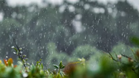 ¡Agarra el paraguas, vienen LLUVIAS FUERTES! Así el pronóstico del clima en Michoacán por municipios hoy domingo 7 de diciembre.jpg