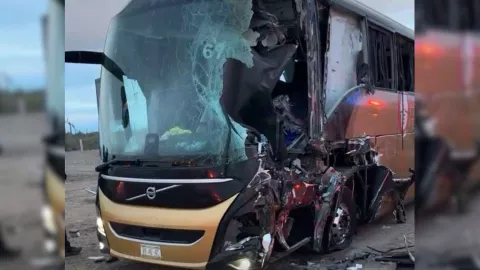 Camionazo en Sonora (1).jpg