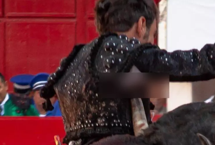 Torero recibe cornada