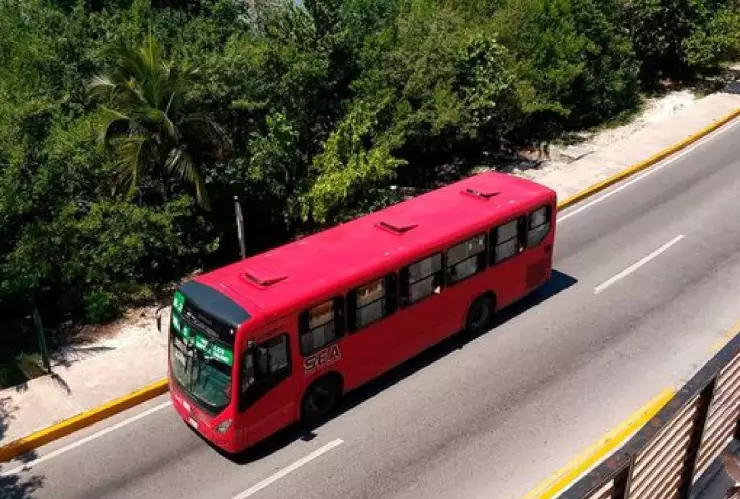 Restablecen servicios de transporte público en Quintana Roo tras impacto de Beryl.jpg