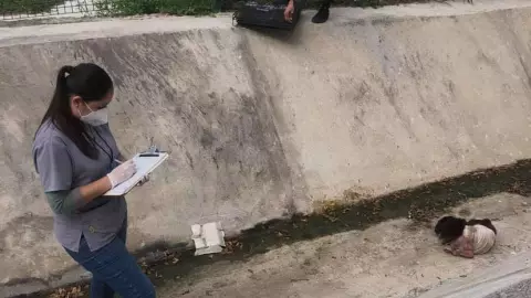 Perrito abandonado en un canal de 2.jpg