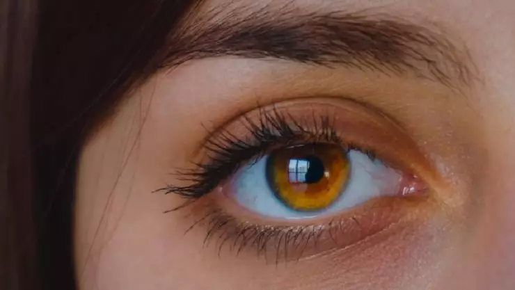 ¡Alerta! Detectan NUEVO VIRUS que podría causar CEGUERA; ¿De qué se trata?