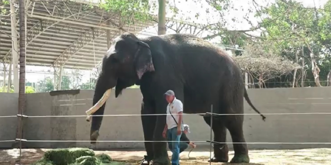 Big Boy comiendo en Culiacán.png