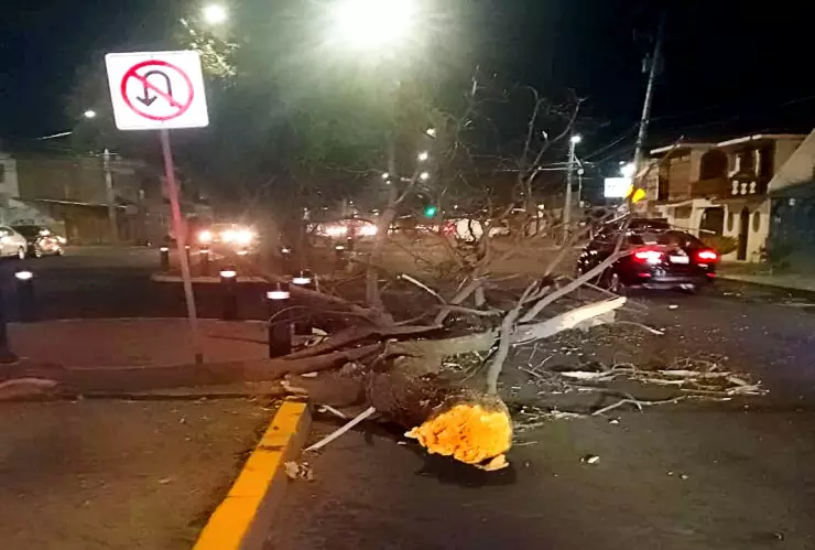 Daños por vientos en León, Guanajuato