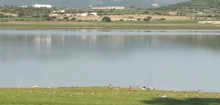 Presa de Baravo.jpg