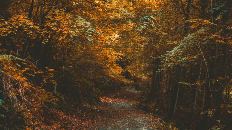 Frío Ciudad Juárez.png