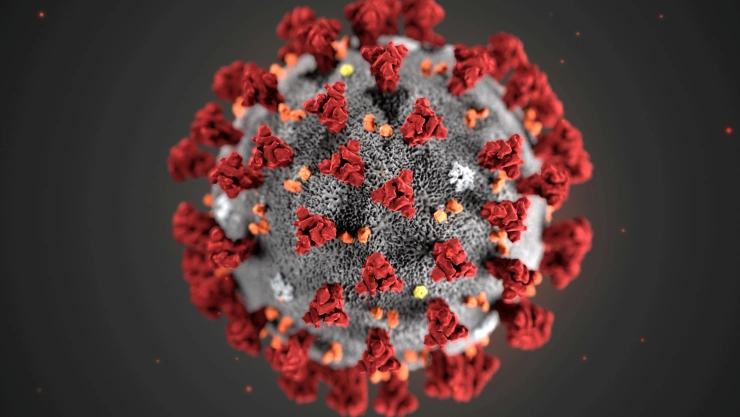 Morfología ultraestructural del nuevo coronavirus 2019 (2019-nCoV) en una ilustración de los Centros para el Control y la Prevención de Enfermedades (CDC) de Estados Unidos.