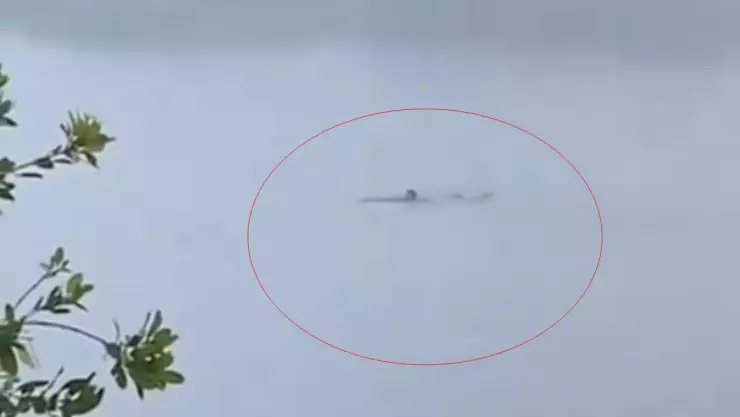 VIDEO_ Víctima de ataque de cocodrilo estaba buscando “emociones fuertes” nadando con el reptil