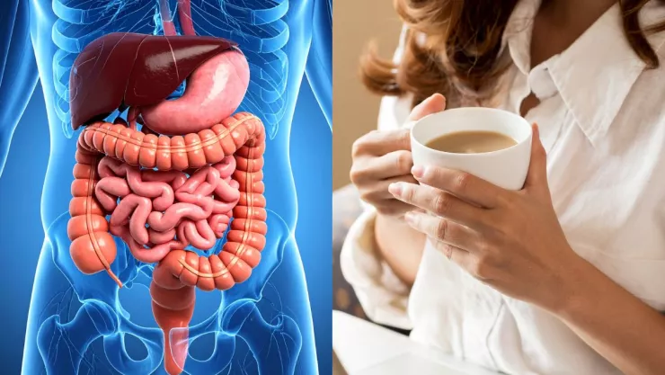 /estilo-de/la-razon-cientifica-por-la-que-el-cafe-es-el-mejor-aliado-de-tu-salud-digestiva-y-no-es-por-la-cafeina