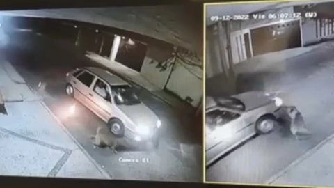 Lanzan pirotecnia a perros callejeros.jpg