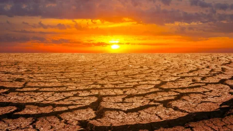 Onda de calor: Conagua alerta de temperaturas extremas