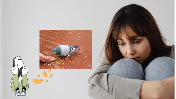 ¿ A qué se refiere el término de migajera? 