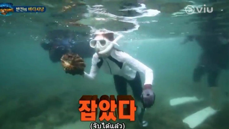 Almejas gigantes en Tailandia amenazadas por reality show