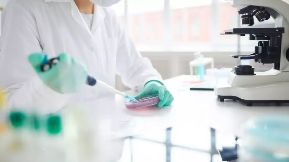 UACH Medicina Ciudad Juárez