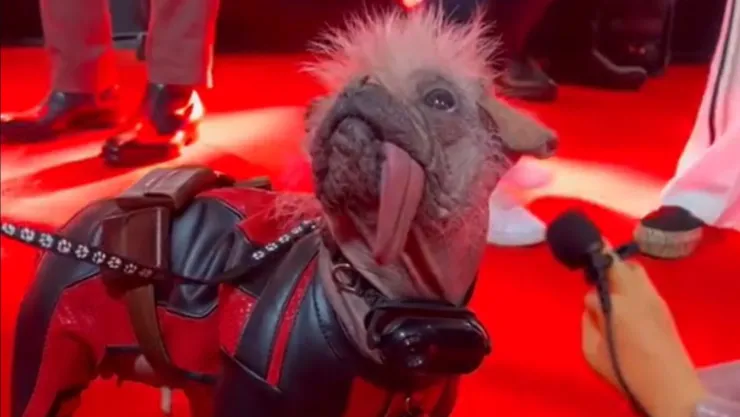 perrita fea peggy en deadpool and wolverine.jpg