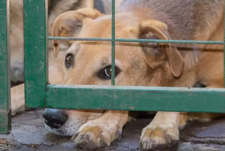 Hombre acusado de maltrato