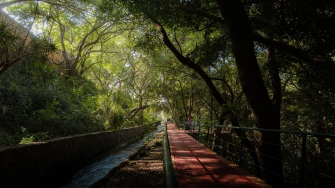 Esto costará ingresar a correr en el Parque Chapultepec de Cuernavaca en 2026.