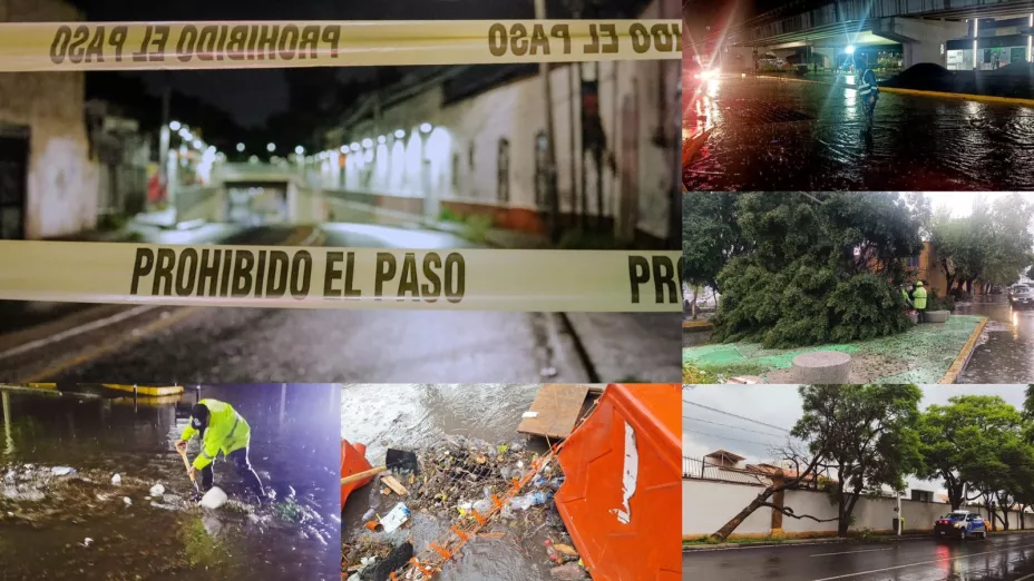 Afectaciones por las lluvias en Querétaro, árboles caídos y calles inundadas