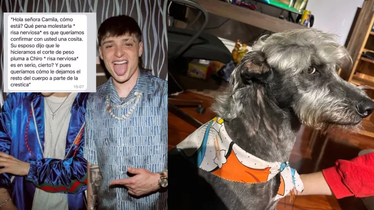 FOTOS: ¡El Perro Pluma! Perrito tiene corte de Peso Pluma y se vuelve viral