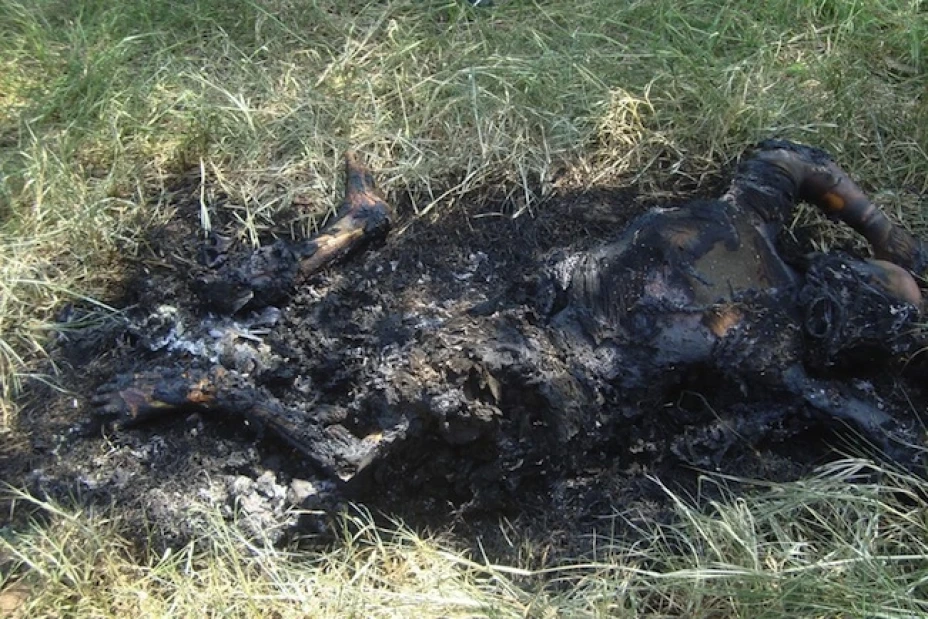 Fue encontrado un cuerpo calcinado en una colonia irregular de Cancún