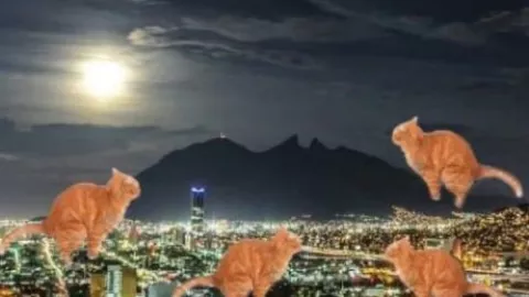 ¿Michis gigantes orinaron Nuevo León? Los memes que revelarían “la verdad”