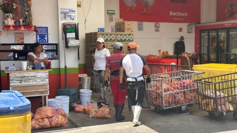 comerciantes – pollo – victimas – corrupción – tramites – cdmx – negocios - empresas