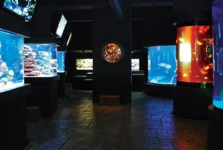 Acuario Interactivo en Cancún