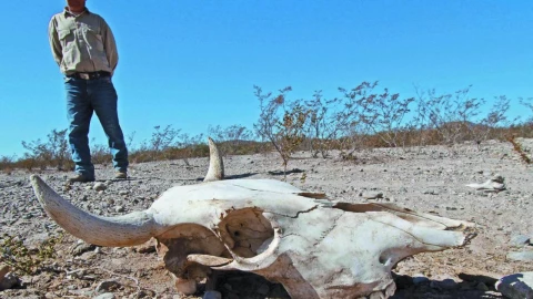 Sequía en Chihuahua.