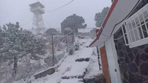Nieve en la cdmx
