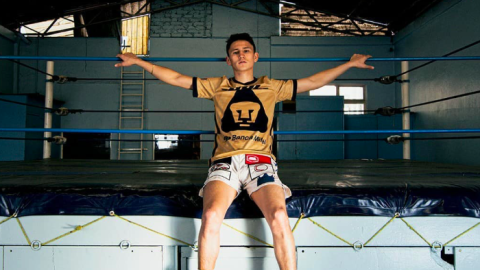 Rey David Picasso boxeo