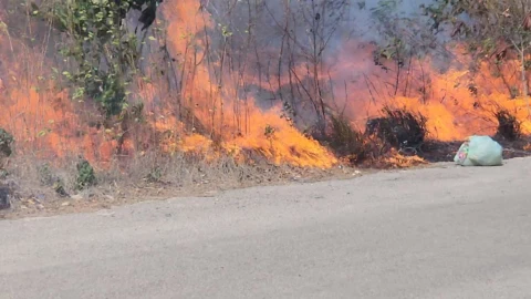 VIDEO: Así es como los bomberos trabajan para apagar FUERTE INCENDIO en Xcanatún hoy viernes 4 de abril de 2025