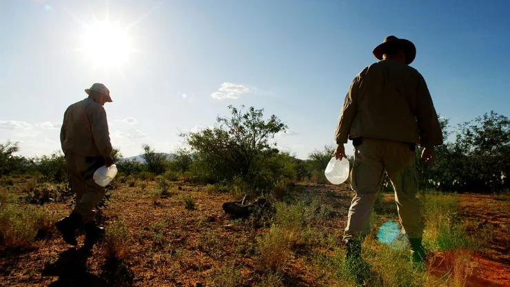 Suman 16 personas muertas por golpe de calor en Mexicali