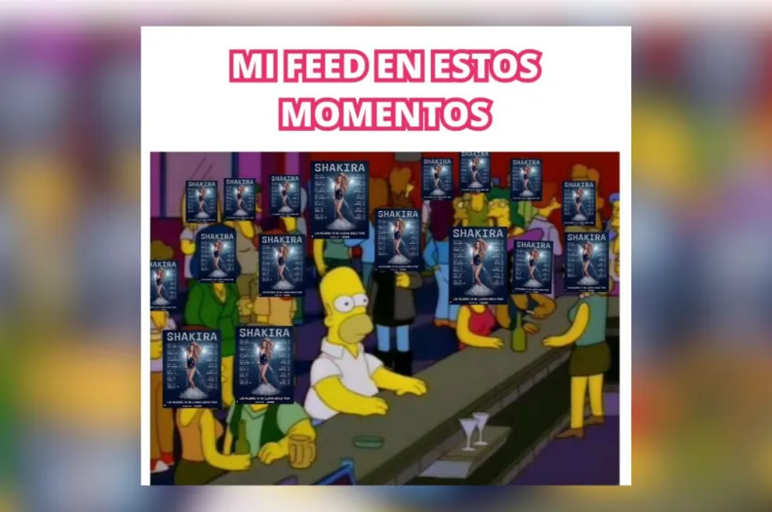 Los afortunados que han asistido a los conciertos de Shakira, han llenado la redes sociales con fotos y videos de las presentaciones, lo que podría parecer un exceso para otros. | Fotos: X