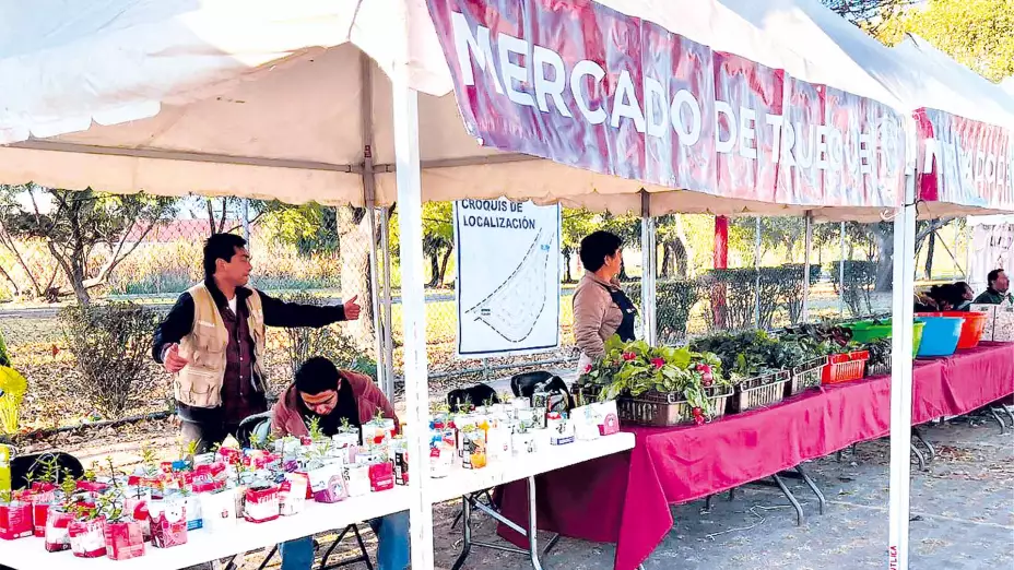 reciclaje_tercrea.jpg