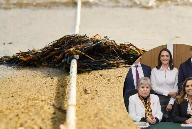 Acuerdan acciones para combatir el sargazo en Quintana Roo con tecnología innovadora.jpg