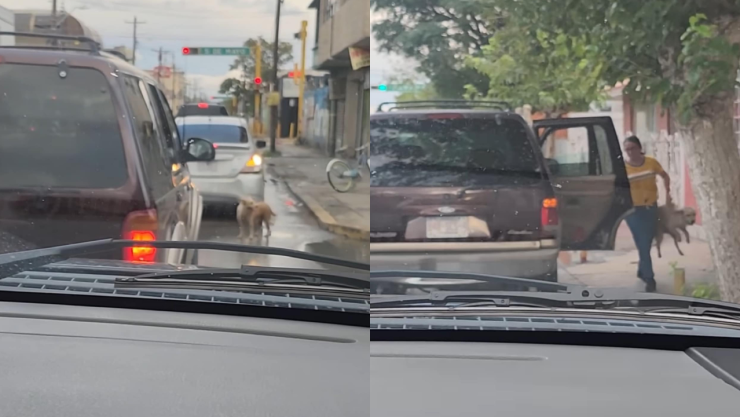 pareja multada por abandonar a perrito en Ciudad Juárez