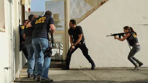 Graceland Cabeza de cerdo T2