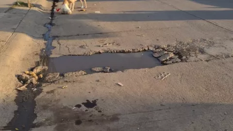 Bache en Pradera Dorada, Mazatlán
