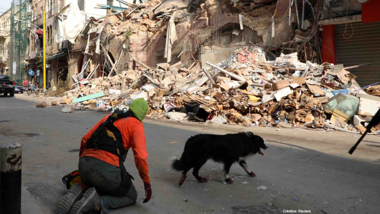 rescatistas encuentran cuerpo vida beirut.jpg