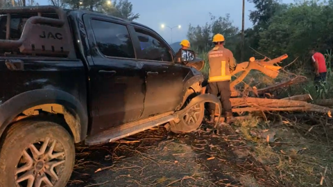 Árbol camioneta en Curva del Molino Tehuacán