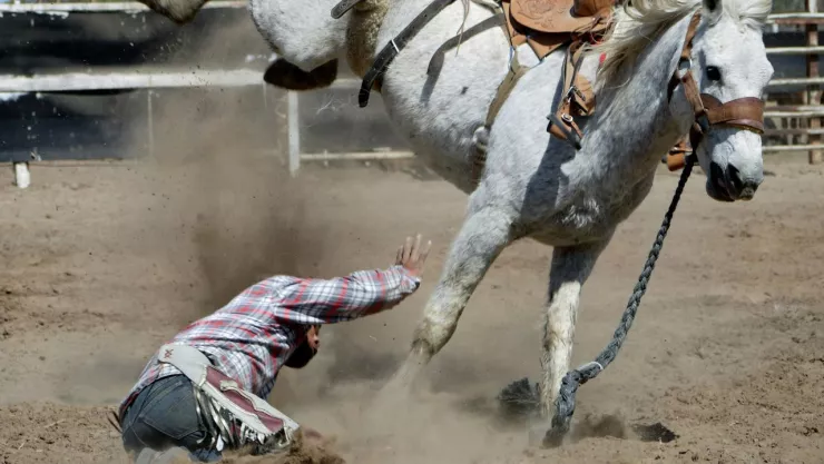 Video: ¿Karma? Joven intentó robar un caballo como broma y fue atropellado