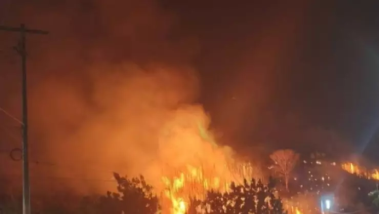 Yucatán registra 88 incendios forestales en la última semana de marzo