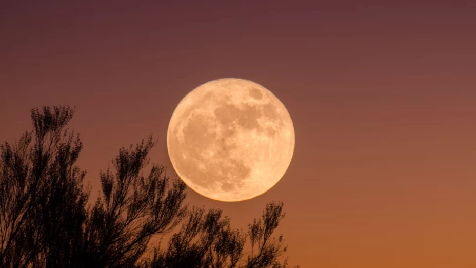 Luna Nueva en Leo hoy 24 de julio: rituales para atraer el amor y la abundancia 