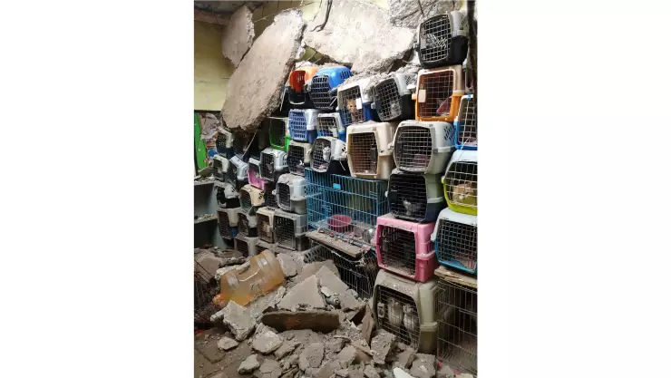 Derrumbe Cuauhtémoc