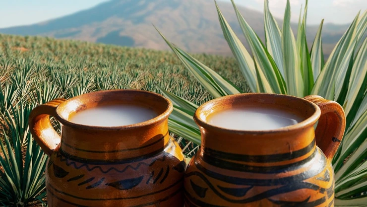 Pulque